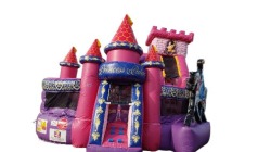 Princess Kid Zone Wet and Dry Combo