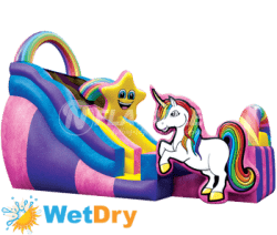 Unicorn Wet and Dry Slide