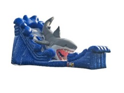 Shark Bite Slide Wet Dry