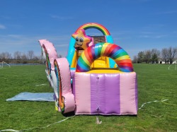 unicorn20wd20slide2010 1763012805 Unicorn Wet and Dry Slide