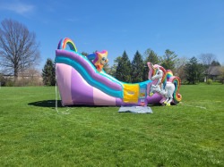 unicorn20wd20slide208 1763012803 Unicorn Wet and Dry Slide