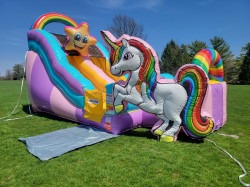 unicorn20wd20slide209 1763012804 Unicorn Wet and Dry Slide