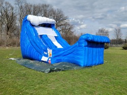 wild20wave20WD206 1763006906 Wild Wave Wet/Dry